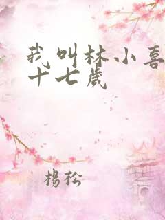 我叫林小喜今年十七岁