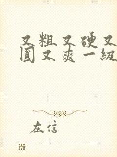 又粗又硬又大又圆又爽一级大片