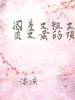 国产又粗又猛又爽又黄的视频四