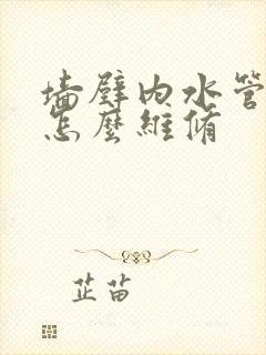 墙壁内水管漏水怎么维修