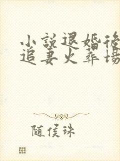 小说退婚后司少追妻火葬场