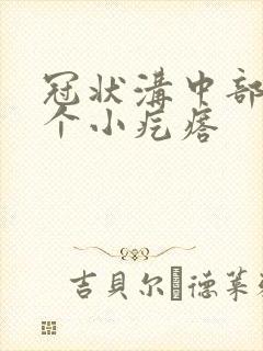 冠状沟中部长了个小疙瘩