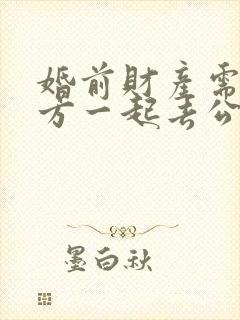 婚前财产需要双方一起去公证吗?