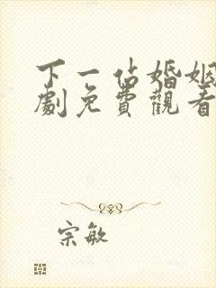 下一站婚姻电视剧免费观看全集完整版