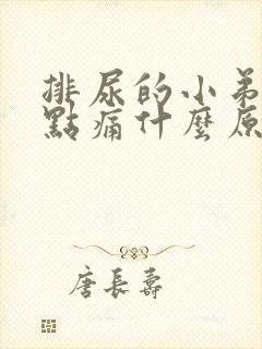 排尿的小弟弟有点痛什么原因