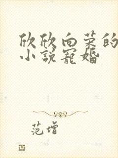 欣欣向荣的全部小说宠婚