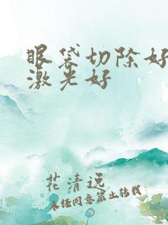 眼袋切除好还是激光好