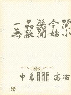 一品县令开局从无敌开始小说免费