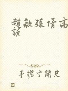 赵敏张倩高义小说