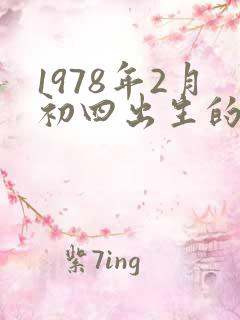 1978年2月初四出生的马一生命运