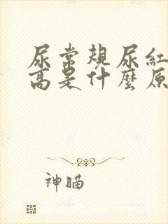 尿常规尿红细胞高是什么原因