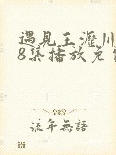 遇见王沥川第38集播放免费