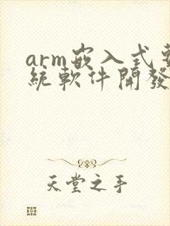 arm嵌入式系统软件开发