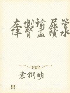 左侧输尿管结石伴肾盂积水