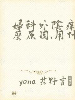 妇科外阴痒是什么原因,用什么药