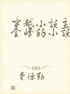 穿越小说主人公金峰的小说