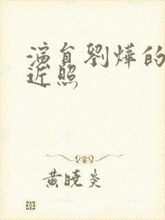 演员刘烨的老婆近照