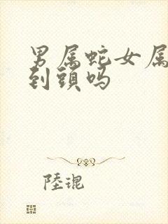 男属蛇女属羊能到头吗