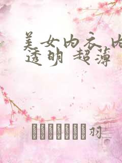 美女内衣 内裤 透明 超薄