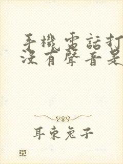 手机电话打过来没有声音是怎么回事