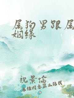 属狗男跟属兔女姻缘