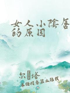 女人小阴唇肥大的原因