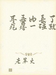 耳垂内长了个硬疙瘩一碰就疼