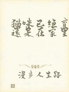 猫咪已绝育 但还是在家里乱拉尿