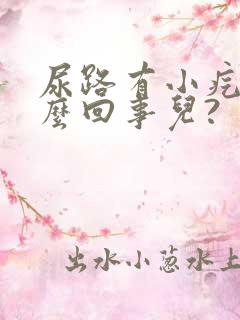 尿路有小疙瘩怎么回事儿?