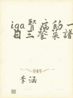 iga肾病的一日三餐菜谱