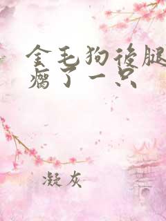 金毛狗后腿突然瘸了一只