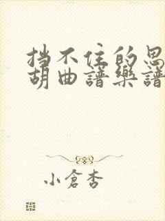 挡不住的思念二胡曲谱乐谱