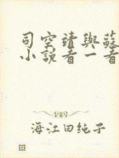 司空靖与苏月汐小说看一看