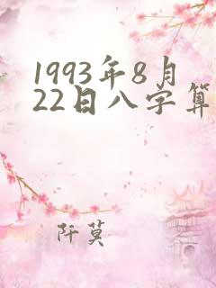 1993年8月22日八字算命