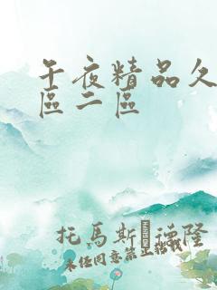 午夜精品久久一区二区