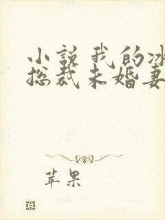 小说 我的冰山总裁未婚妻