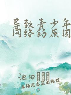 导致青少年沉迷网络的原因