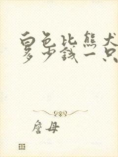 白色比熊犬价格多少钱一只