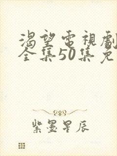 渴望电视剧高清全集50集免费观看