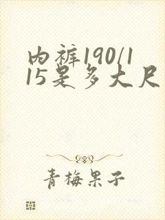 内裤190/115是多大尺码男士