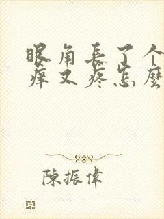 眼角长了个包又痒又疼怎么回事