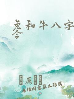 兔和牛八字合不合