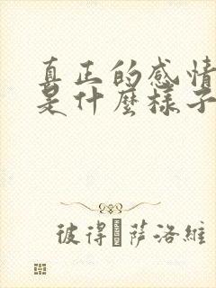 真正的感情应该是什么样子的