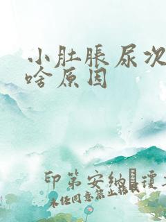 小肚胀尿次数多啥原因