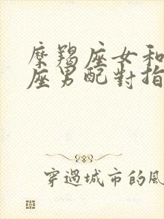 摩羯座女和处女座男配对指数