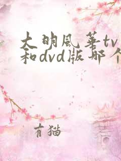 大明风华tv版和dvd版哪个好看