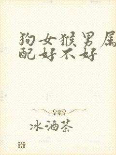 狗女猴男属相婚配好不好