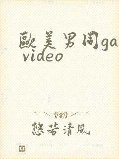 欧美男同gay video