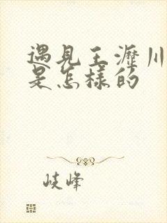 遇见王沥川结局是怎样的