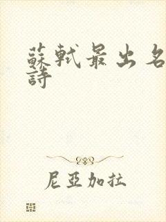 苏轼最出名十首诗